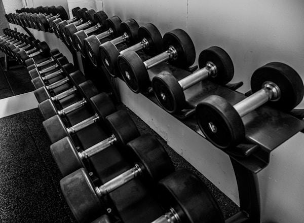 close up, bokeh, macro, blur, blurred background, close focus, weight training, gym, weights, gym equipment, working out, home gym, exercise, garage gym, body building, progressive weight training,
